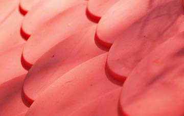 Wattlesborough Heath plastic roof costs