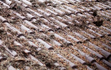 Wattlesborough Heath roof cleaning companies